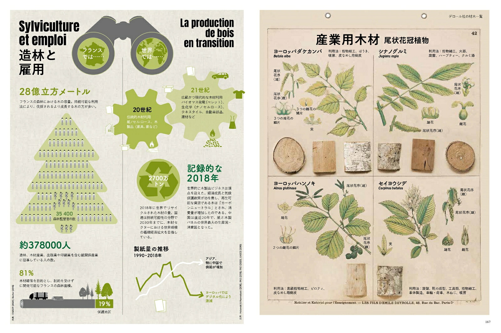 木を知る図鑑（ビジュアルで学ぶ）[SergeSchall]