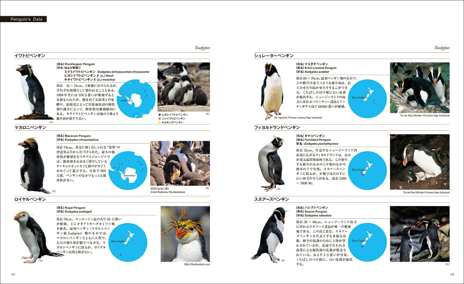 楽天ブックス 世界で一番美しい ペンギン図鑑 絶景 秘境に息づく 水口 博也 本