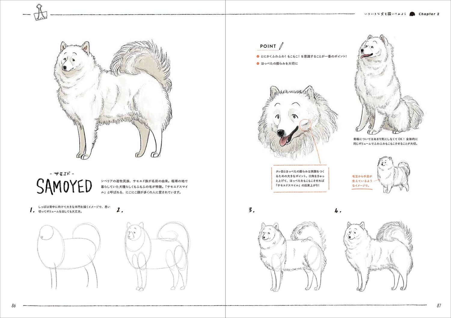 楽天ブックス: 4ステップで誰でもかわいく描ける いぬとねこのイラスト練習帖 - sakio - 9784046058690 : 本