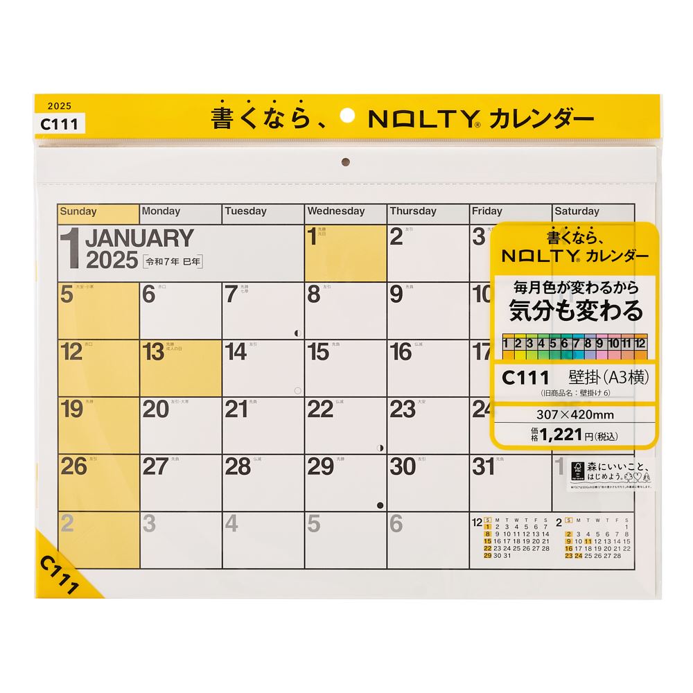 能率 2025年1月始まり NOLTY(ノルティ) カレンダー壁掛（A3横） C111画像