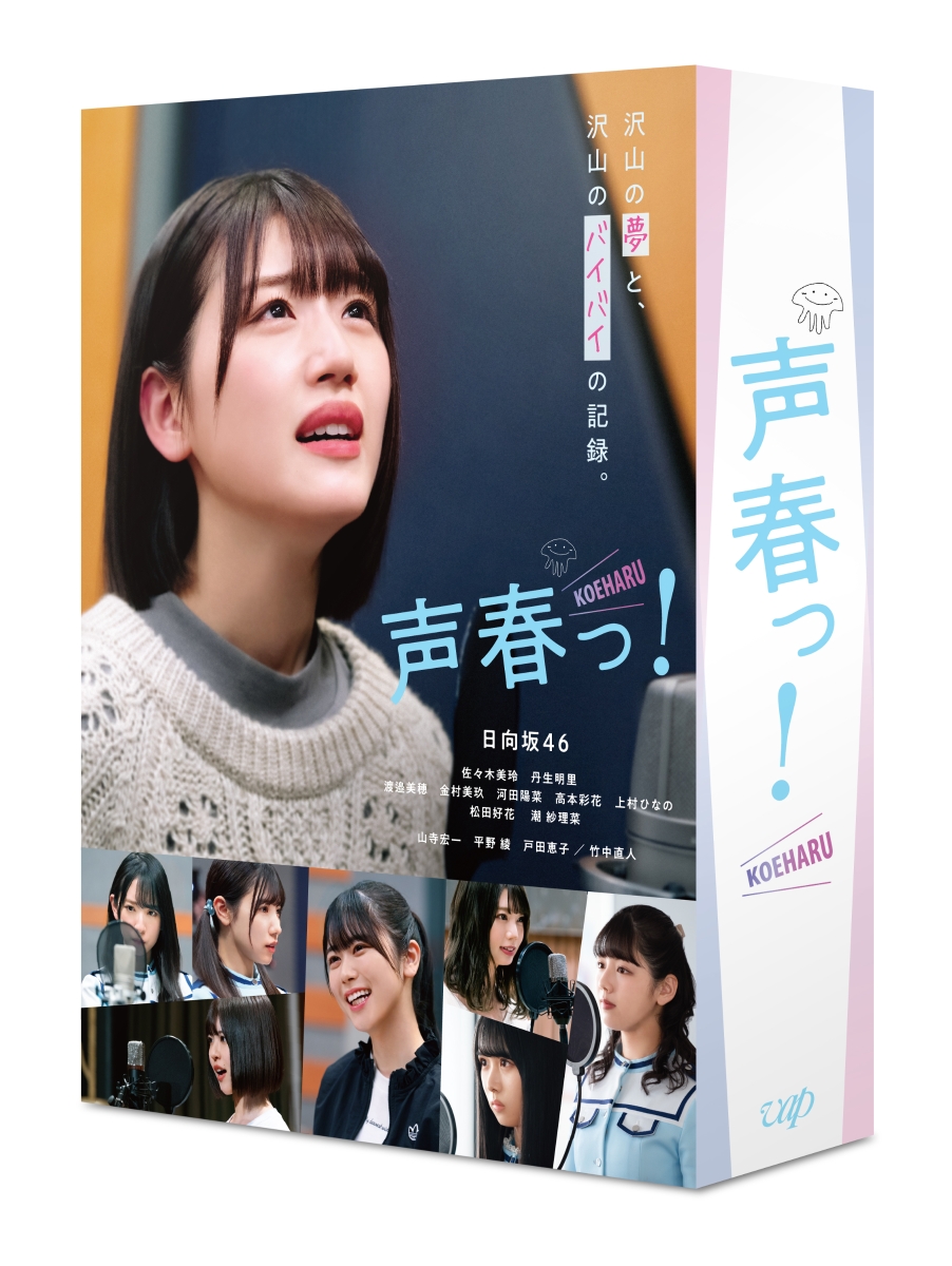 ベンチ 収納付 【日向坂46】HINABINGO・DASADA等 Blu-rayセット