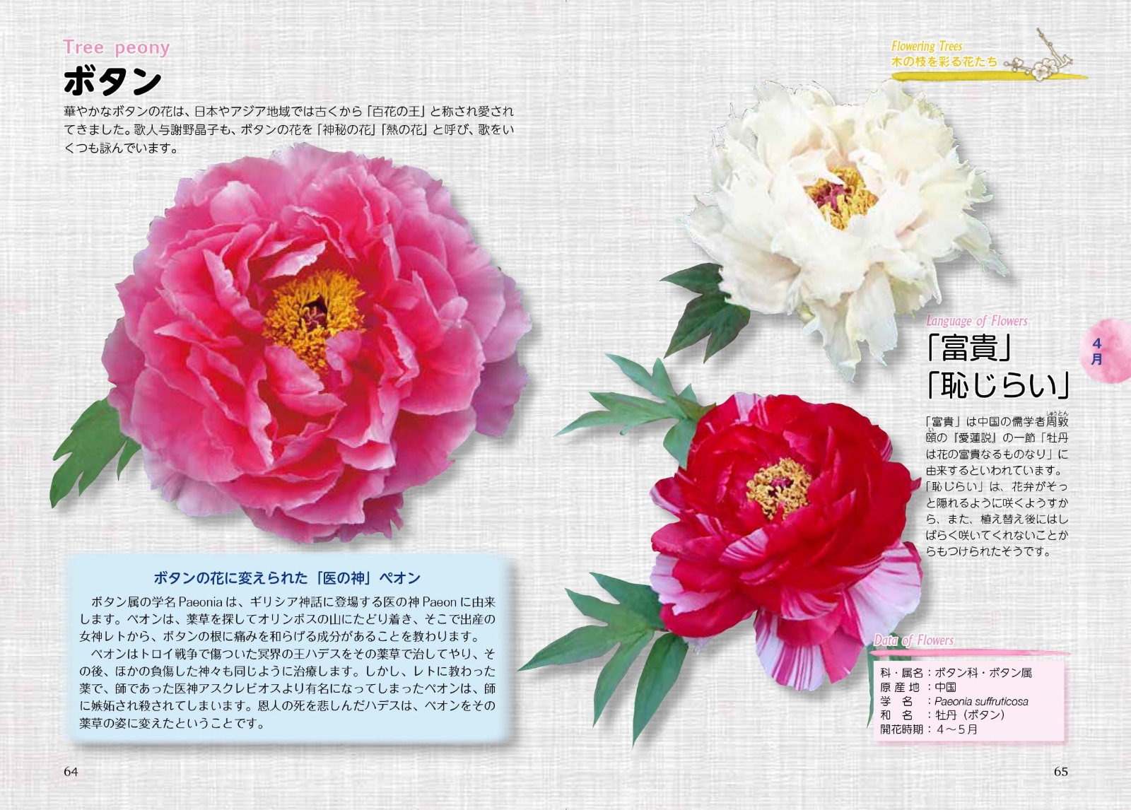 楽天ブックス 幸せを運ぶ花言葉12か月 366日の誕生花からの占いメッセージ入り Flower Me 本