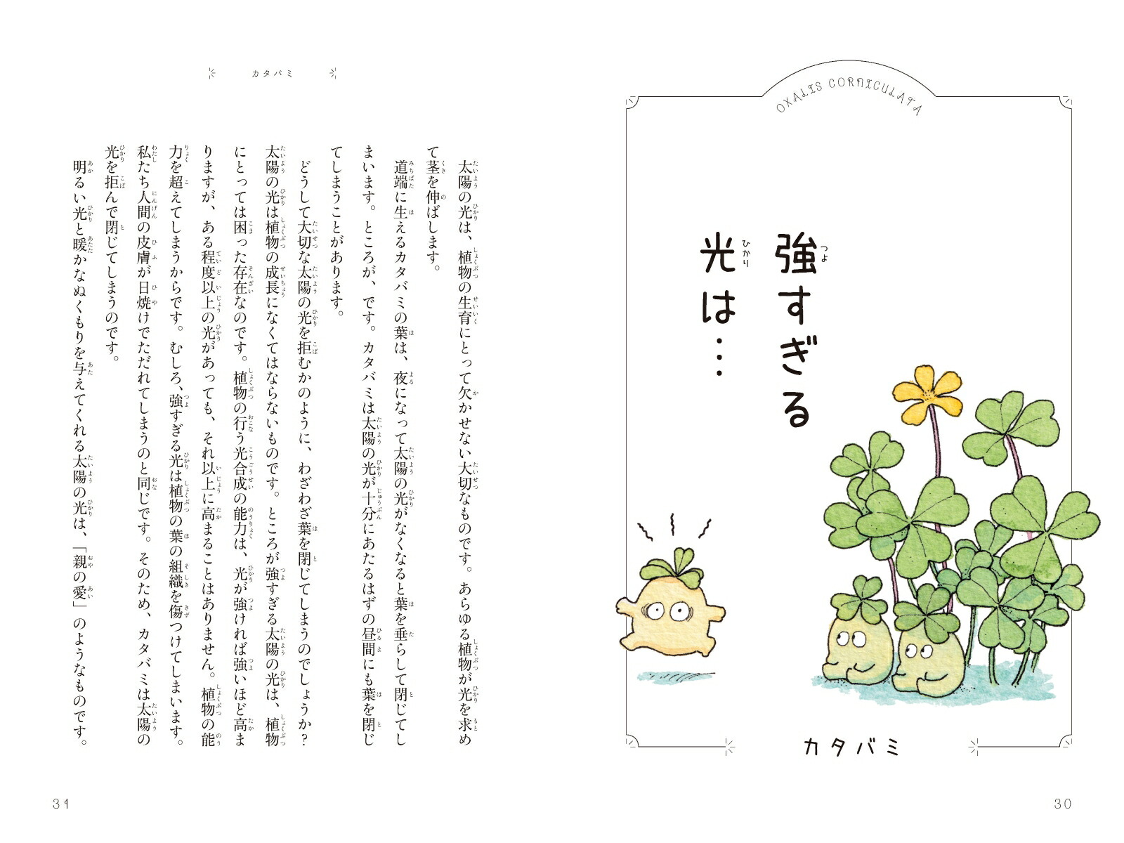 楽天ブックス 子どもと楽しむ草花のひみつ 稲垣 栄洋 本