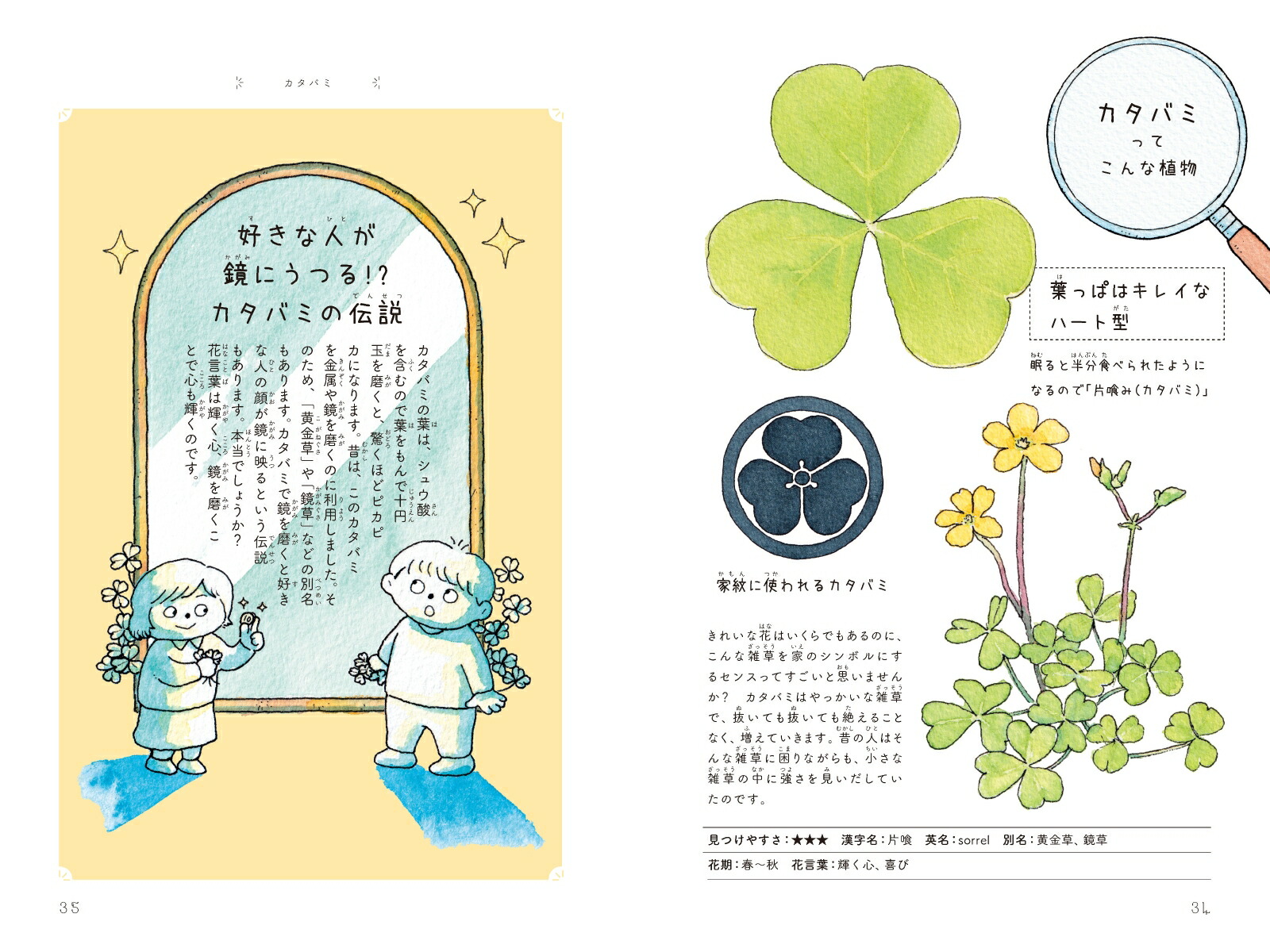 楽天ブックス 子どもと楽しむ草花のひみつ 稲垣 栄洋 本