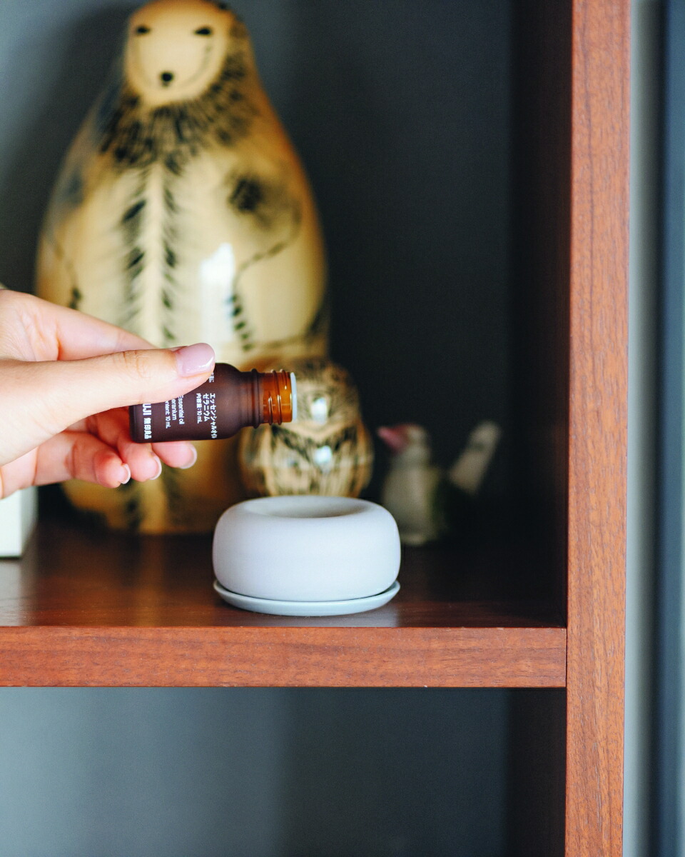 ̵�����ʤǤϤ���뿷��������[��ë̯��]