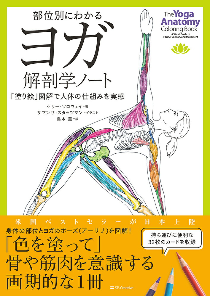 楽天市場】「図解YOGAアナトミー 筋骨格編 」 [UTL アンダーザ