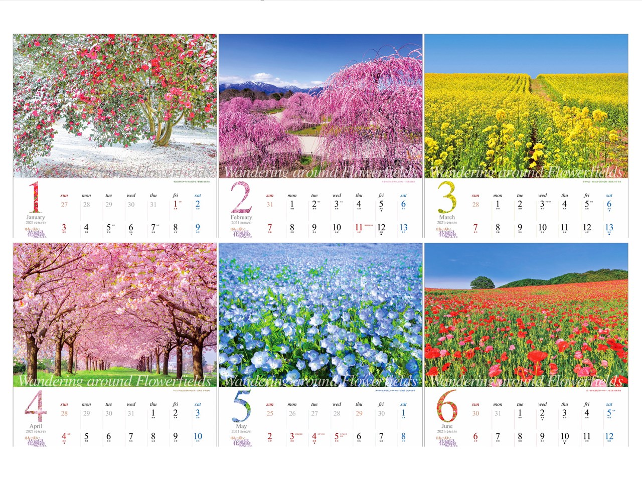 楽天ブックス 日本一美しい花風景を散歩する 21年 カレンダー 壁掛け 風景 本