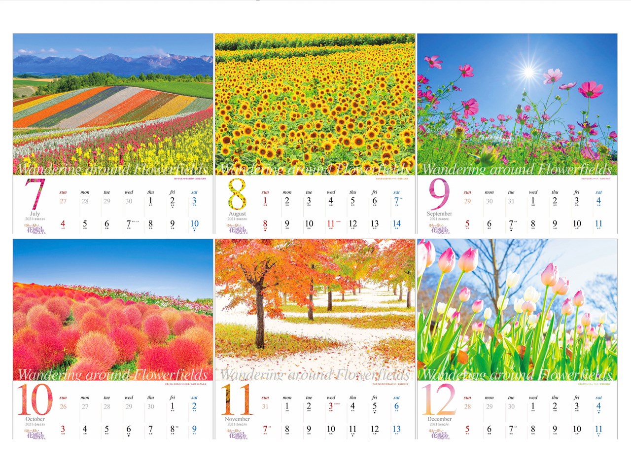 楽天ブックス 日本一美しい花風景を散歩する 21年 カレンダー 壁掛け 風景 本