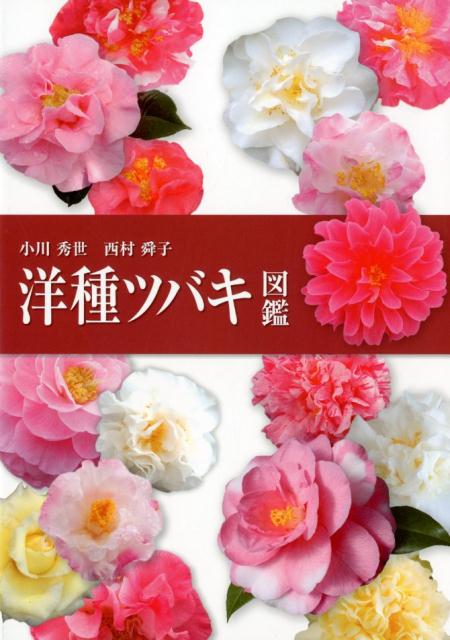 楽天ブックス: 洋種ツバキ図鑑 - 小川秀世 - 9784434258749 : 本
