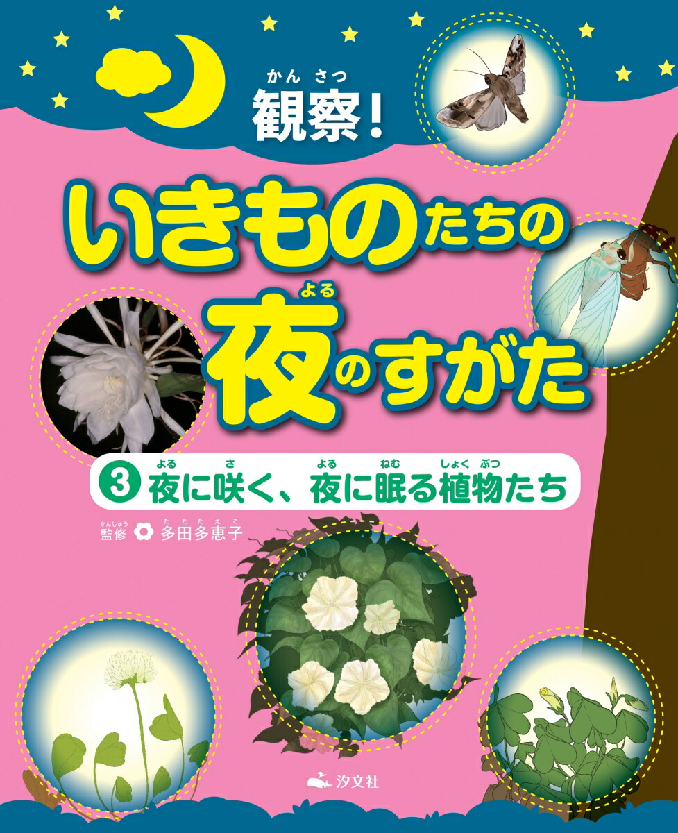 楽天ブックス 3夜に咲く 夜に眠る植物たち 多田多恵子 本