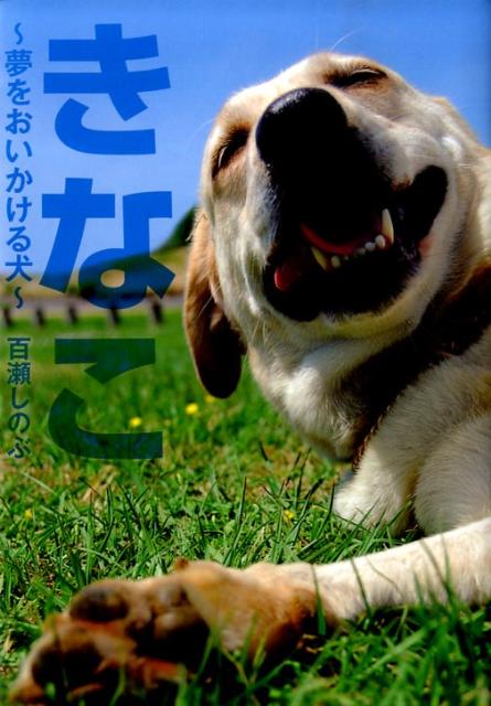 楽天ブックス きなこ 夢をおいかける犬 百瀬しのぶ 本