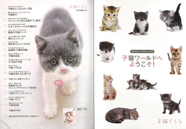 楽天ブックス バーゲン本 子猫ぐらし トライアングル 編 本