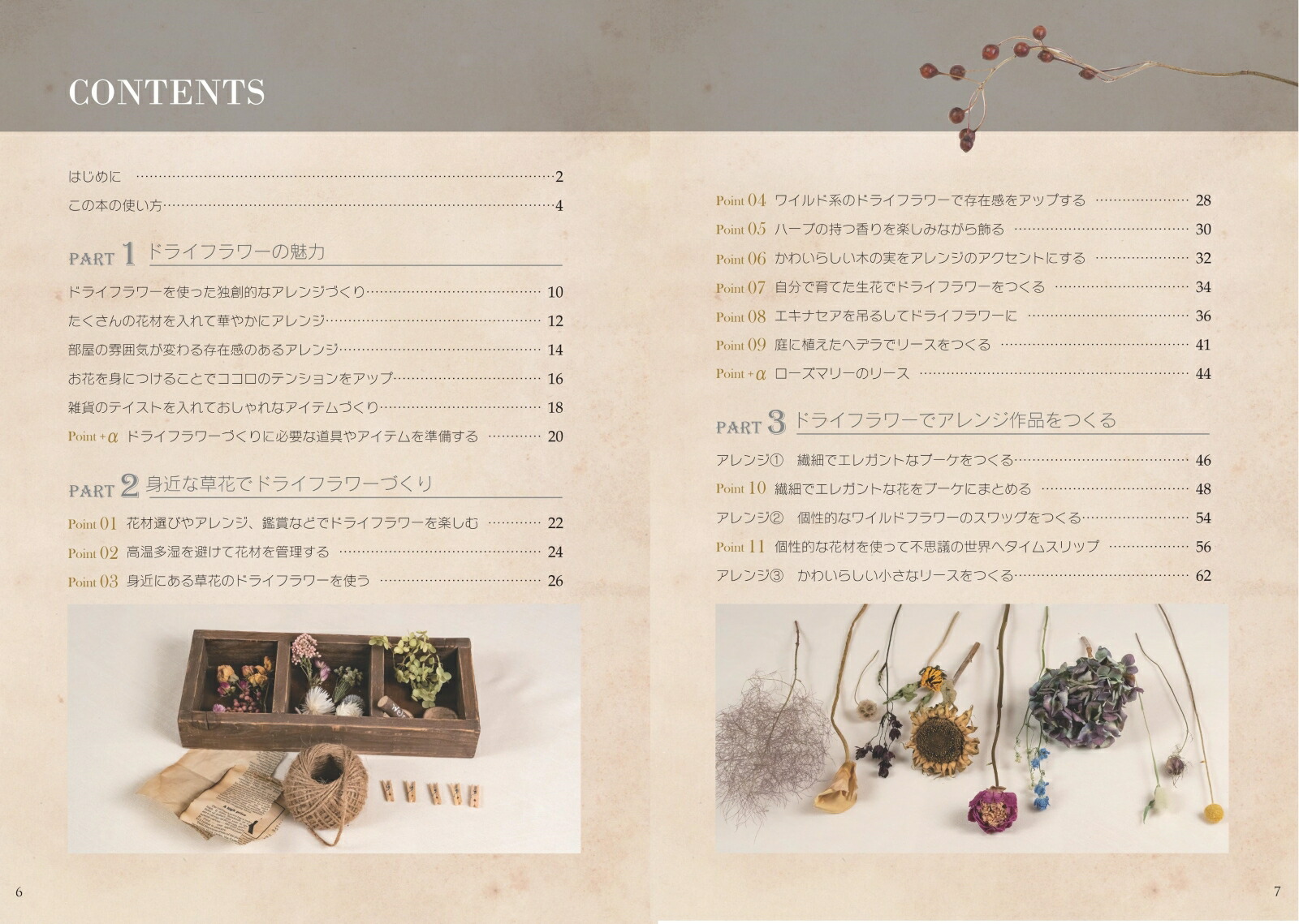 �ȶ�ʿ�ʪ��褫���Ϥ���ƤΥɥ饤�ե���Ω�����δ��ä���餷�˴��ź������󥸥���[���Ӥߤɤ�]