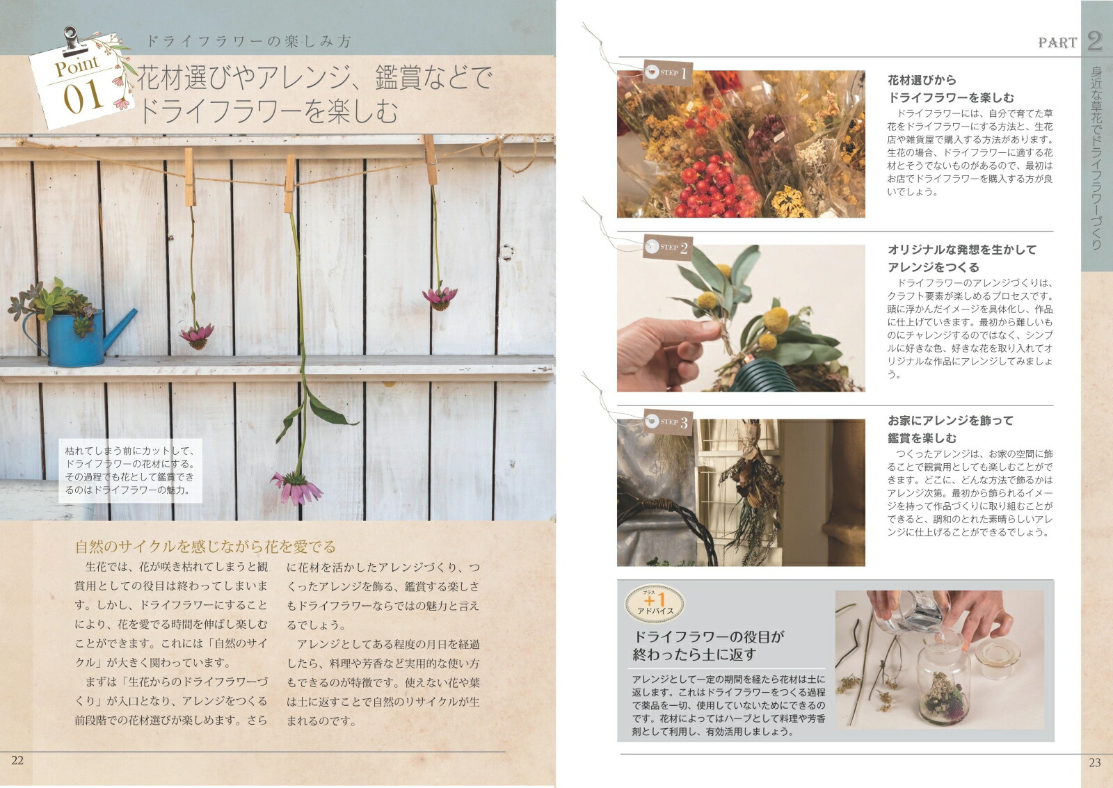 �ȶ�ʿ�ʪ��褫���Ϥ���ƤΥɥ饤�ե���Ω�����δ��ä���餷�˴��ź������󥸥���[���Ӥߤɤ�]