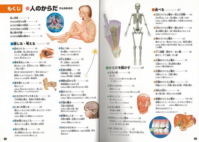 楽天ブックス バーゲン本 人のからだージュニア学研の図鑑 阿部 和厚 本