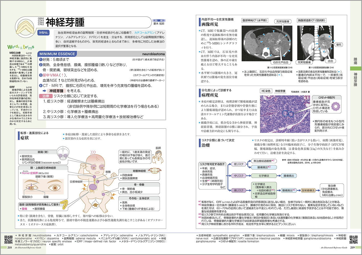 �µ����ߤ����vol.15�˾�����[���ž���ʳظ����]