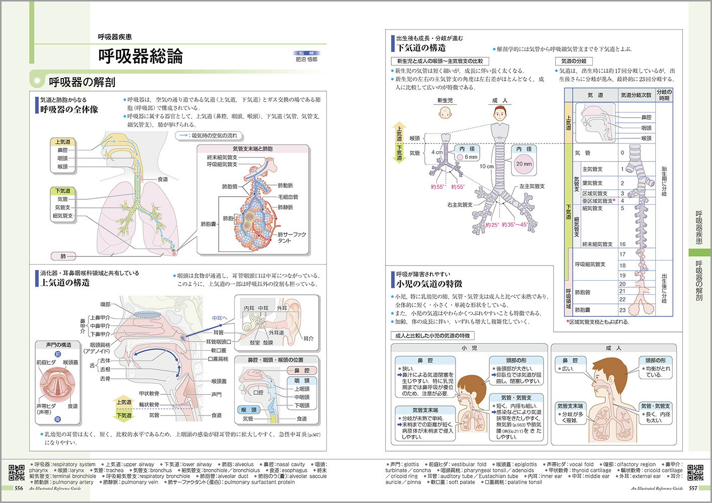 �µ����ߤ����vol.15�˾�����[���ž���ʳظ����]
