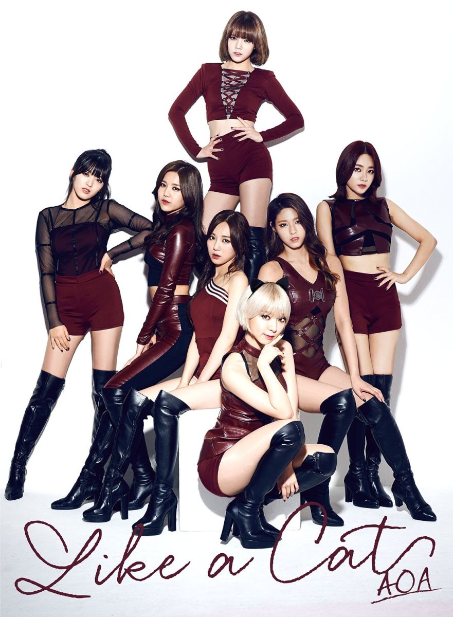 楽天ブックス Like A Cat 初回限定盤b Aoa Cd