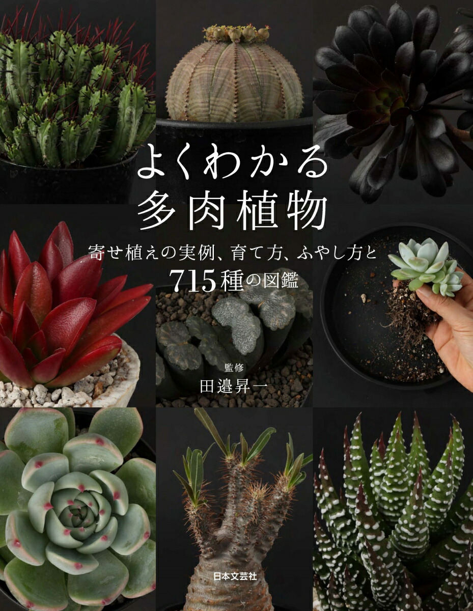 楽天ブックス よくわかる多肉植物 寄せ植えの実例 育て方 ふやし方と715種の図鑑 田邉 昇一 本