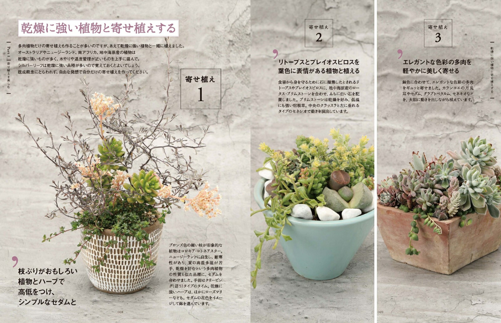 楽天ブックス よくわかる多肉植物 寄せ植えの実例 育て方 ふやし方と715種の図鑑 田邉 昇一 本