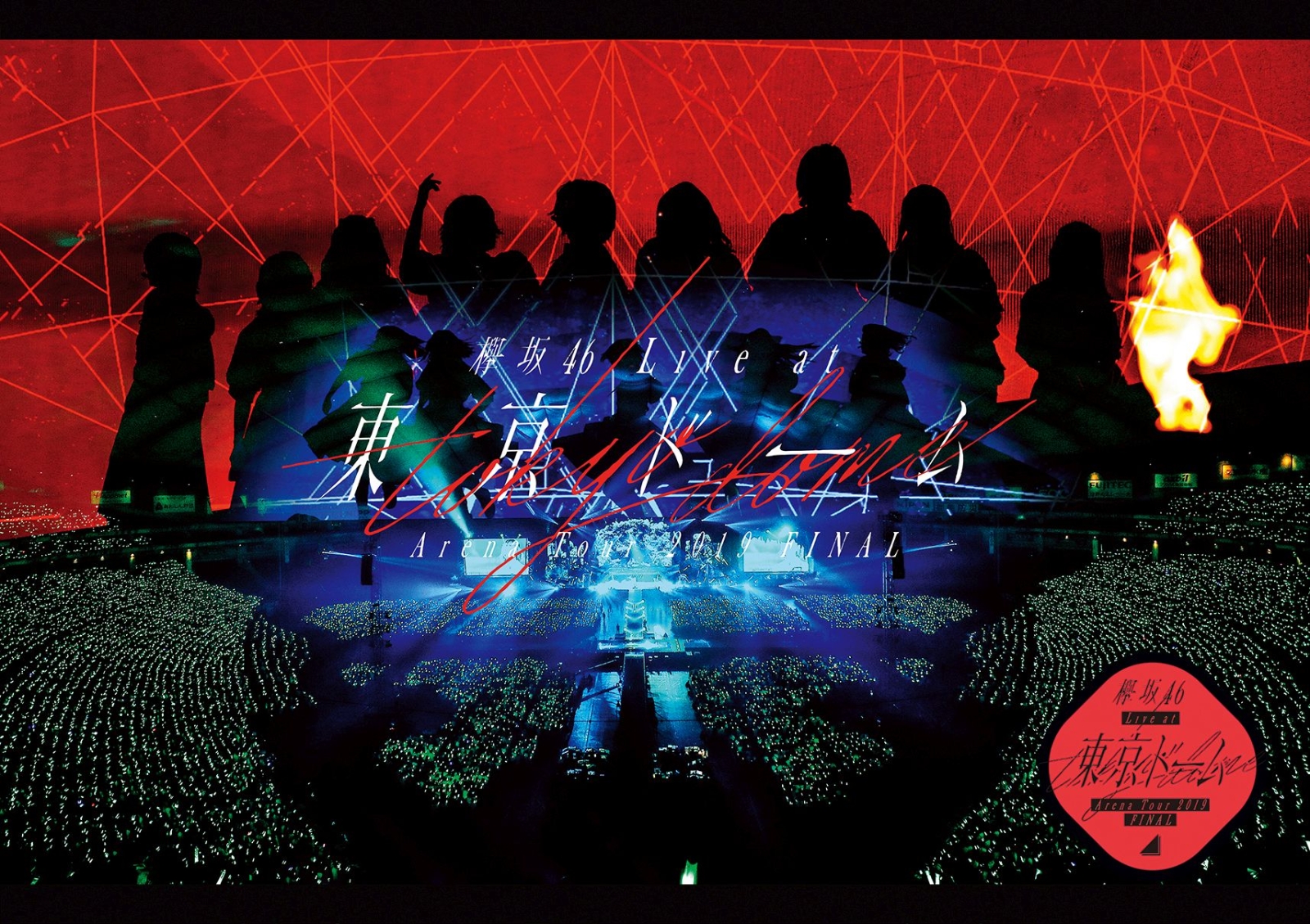 楽天ブックス 欅坂46 Live At 東京ドーム Arena Tour 19 Final 通常盤 欅坂46 Dvd
