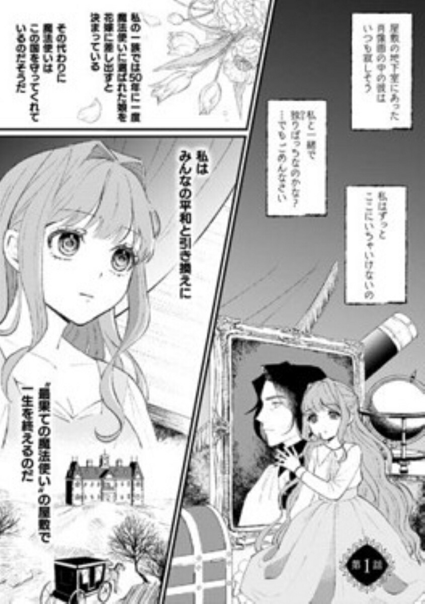 ��ˡ�Ȥ���̥�����ơʥ��祳�饷�奯�쥳�ߥå�����[�������㥬]