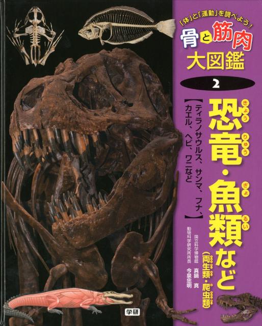 楽天ブックス: 骨と筋肉大図鑑（2） - 「体」と「運動」を調べよう！ - 9784055008815 : 本