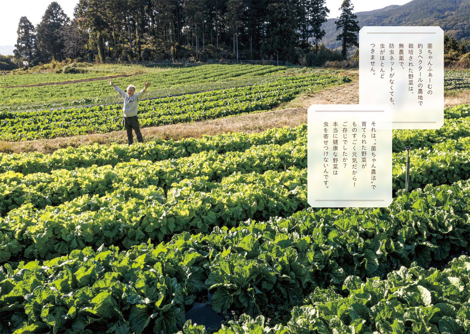 進化版図解でよくわかる菌ちゃん農法微生物の力だけで奇跡の野菜づくり[吉田俊道]