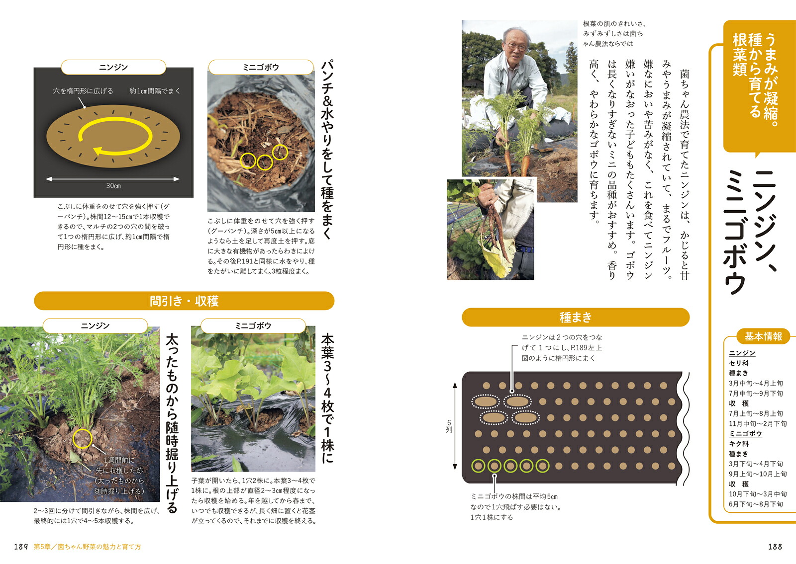 進化版図解でよくわかる菌ちゃん農法微生物の力だけで奇跡の野菜づくり[吉田俊道]