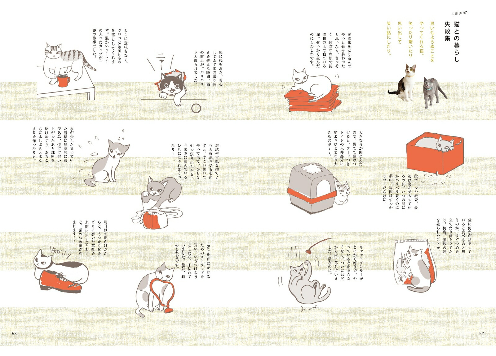 猫との暮らしを楽しむヒント228