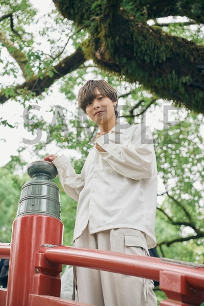 �ڳ�ŷ�֥å���������ŵ�۲��ܿ�ɧ�γ�������񳫱�����(�ݥ��ȥ�����1��)[���ܿ�ɧ]