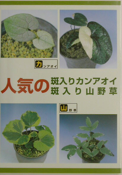 楽天ブックス: 人気の斑入りカンアオイ・斑入り山野草 - 9784884922788 : 本