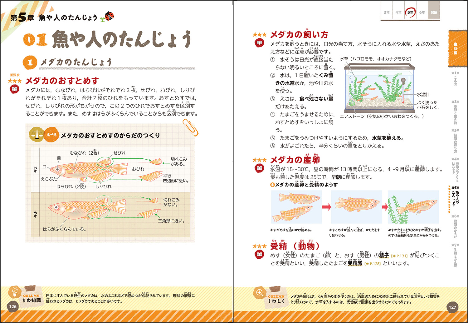 楽天ブックス に答える 小学理科 改訂版 学研プラス 本