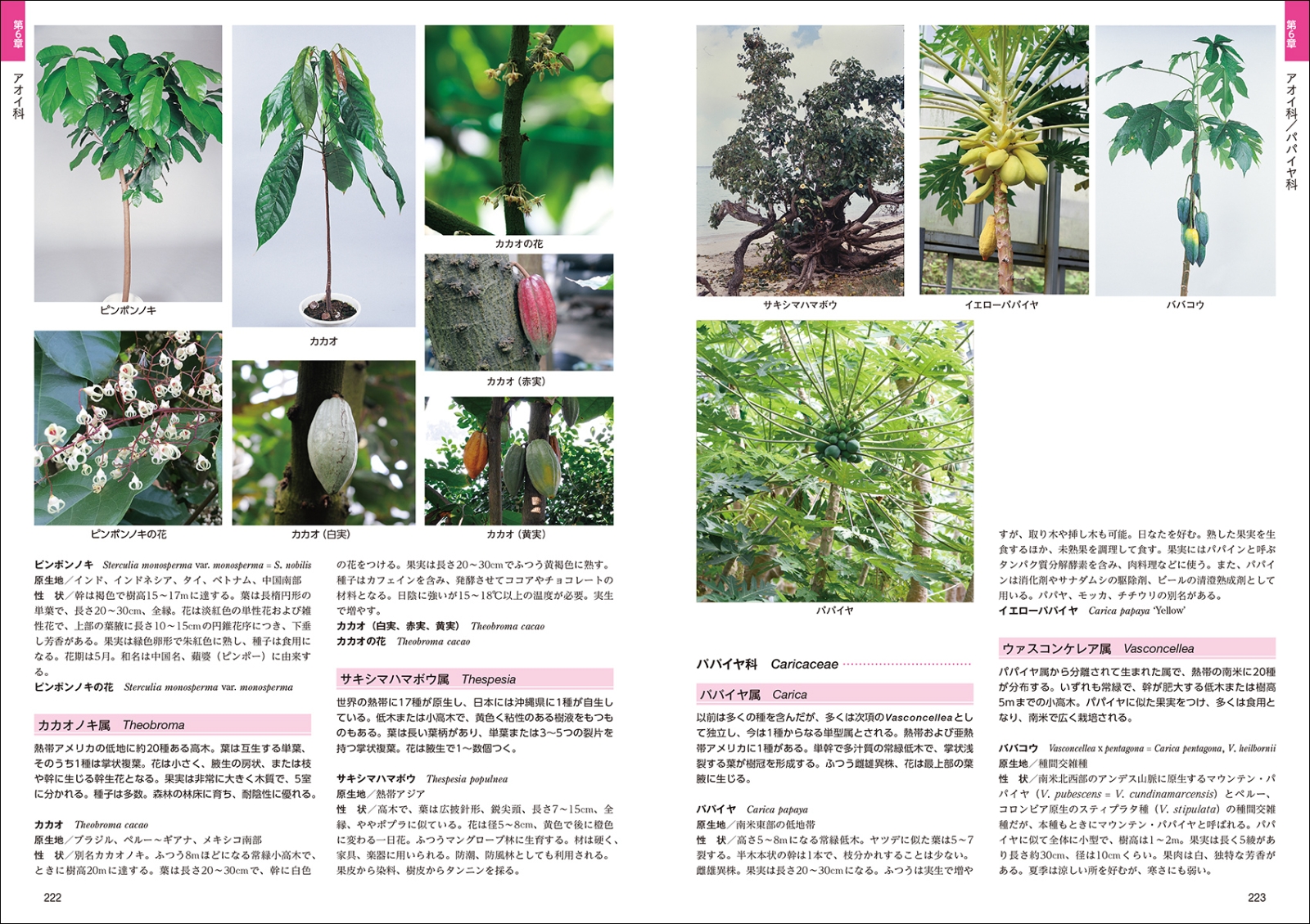 楽天ブックス 熱帯植物図鑑 Guide To Neotropical Plant Families 一般社団法人 日本インドア グリーン協会 本