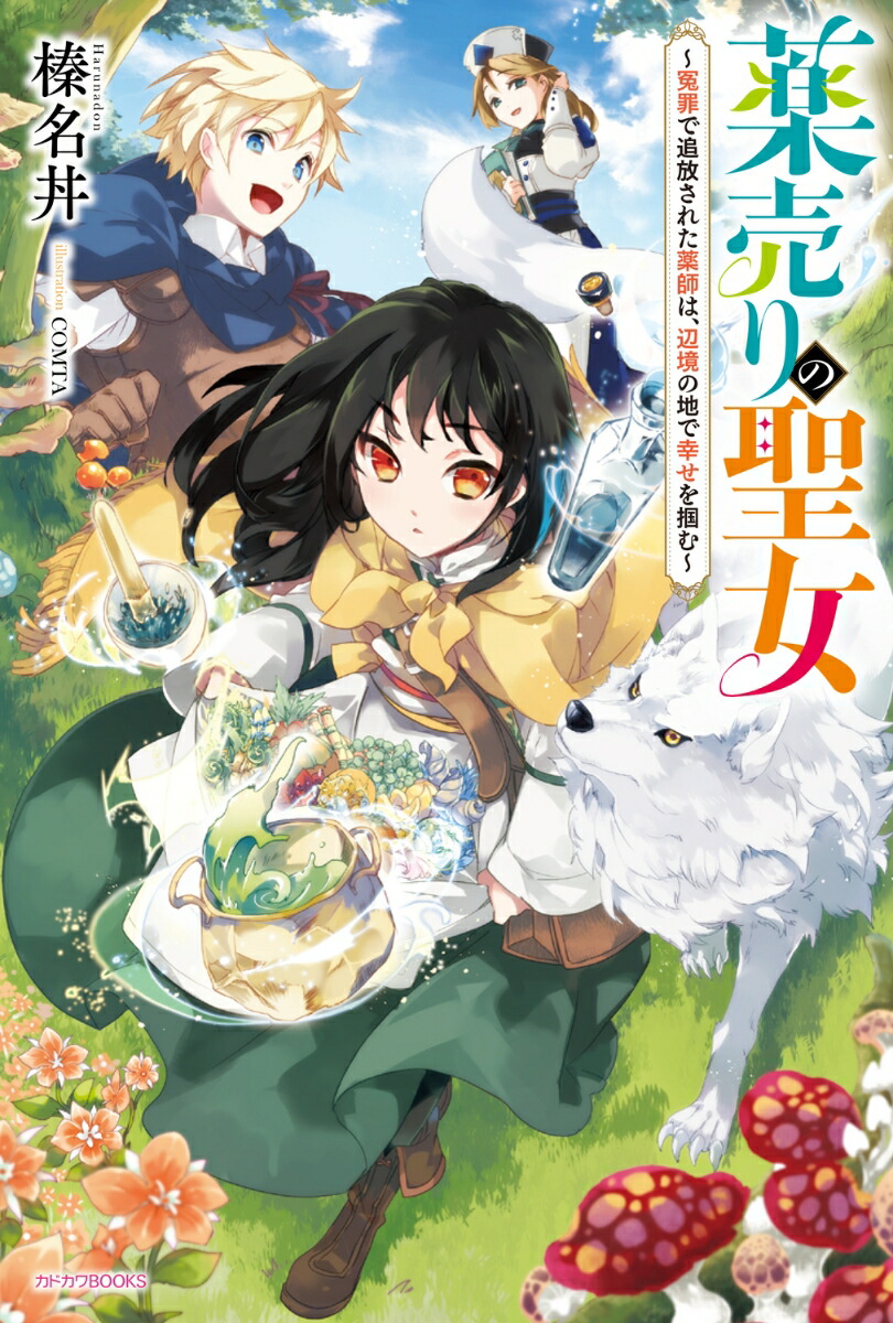 ͺ줿դϡնϤǹϤ1ˡʥɥBOOKS[̾Ч]