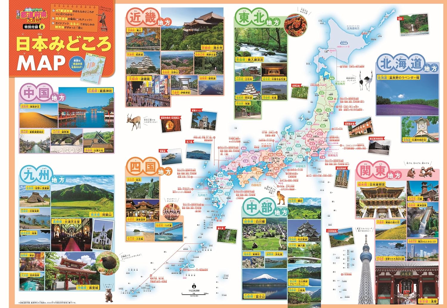 �����ϿޤǤ褯�狼����ƻ�ܸ���ɴ�ʲ����ǡʥӥ��奢��ؽ��Ͽ�Ģ��