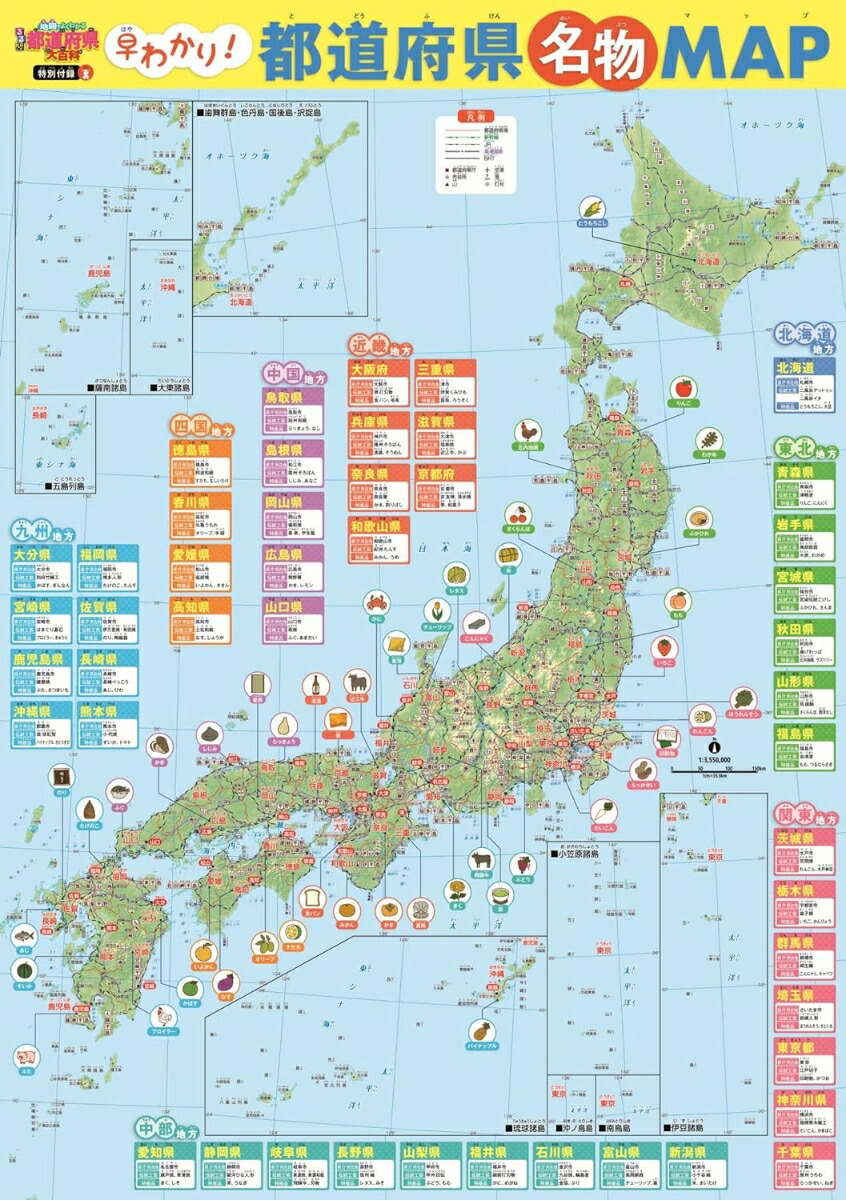 �����ϿޤǤ褯�狼����ƻ�ܸ���ɴ�ʲ����ǡʥӥ��奢��ؽ��Ͽ�Ģ��