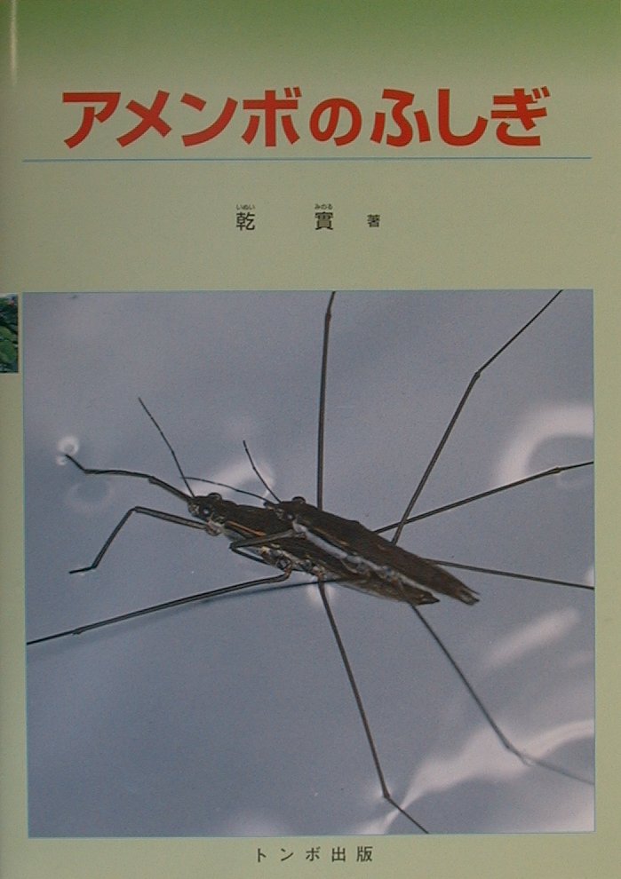 楽天ブックス アメンボのふしぎ 乾実 本