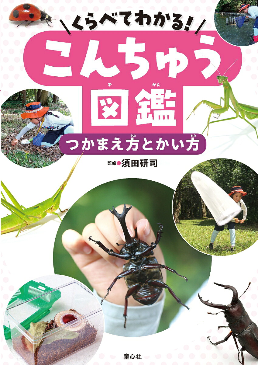 くらべてわかる！こんちゅう図鑑つかまえ方とかい方（第1巻）[須田研司]