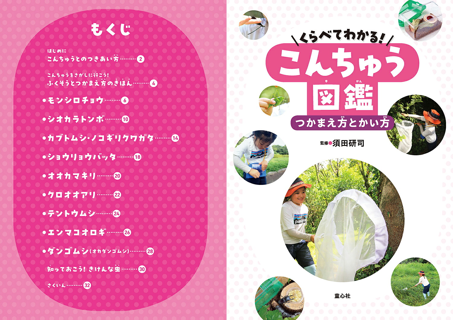 くらべてわかる！こんちゅう図鑑つかまえ方とかい方（第1巻）[須田研司]