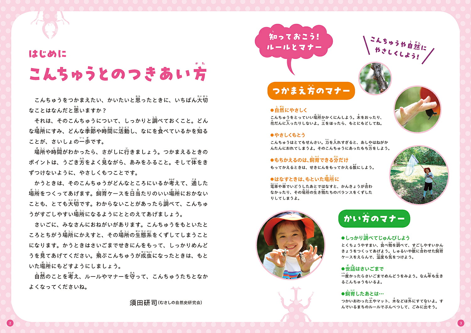 くらべてわかる！こんちゅう図鑑つかまえ方とかい方（第1巻）[須田研司]
