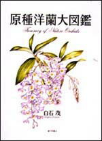 楽天ブックス 原種洋蘭大図鑑 白石茂 本