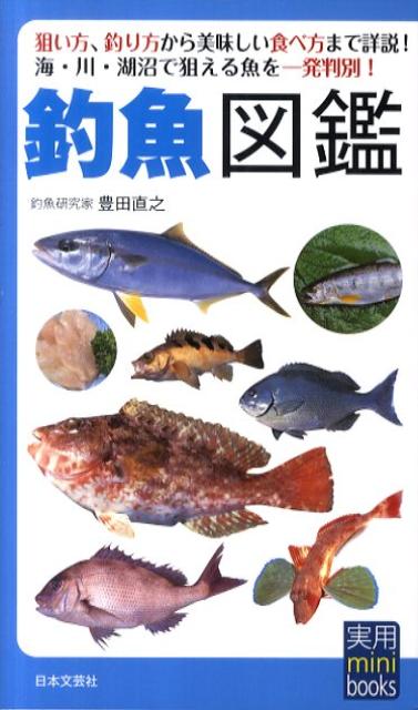 楽天ブックス 釣魚図鑑 豊田直之 本