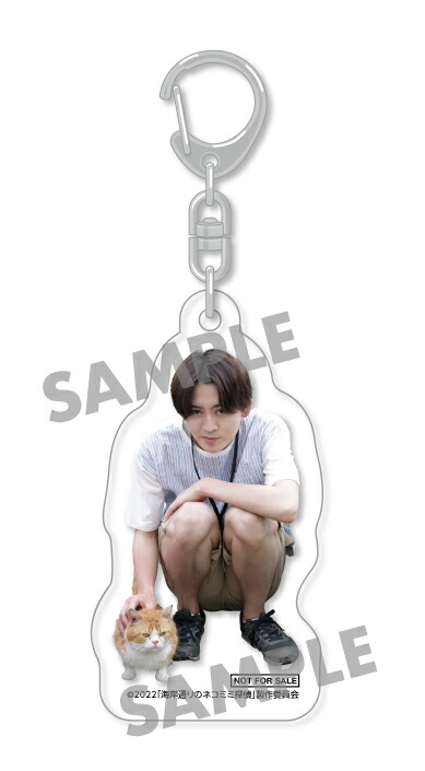 �ڳ�ŷ�֥å�������������ŵ�۳����̤�Υͥ��ߥ�õ���Blu-ray��(�������㡼��)[���統]