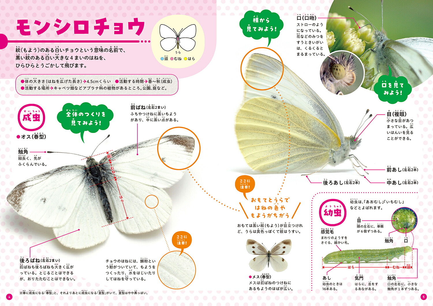 ٤Ƥ狼롪夦޴դΤĤ[ĸ]