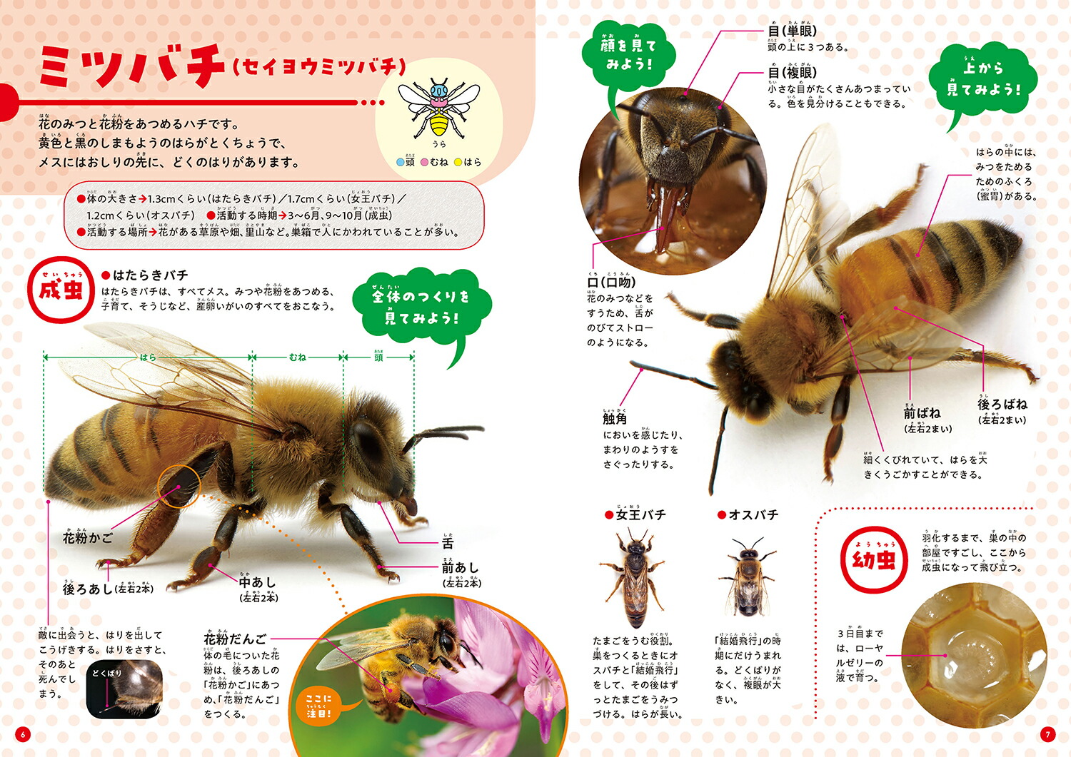 ٤Ƥ狼롪夦޴դΤĤ[ĸ]