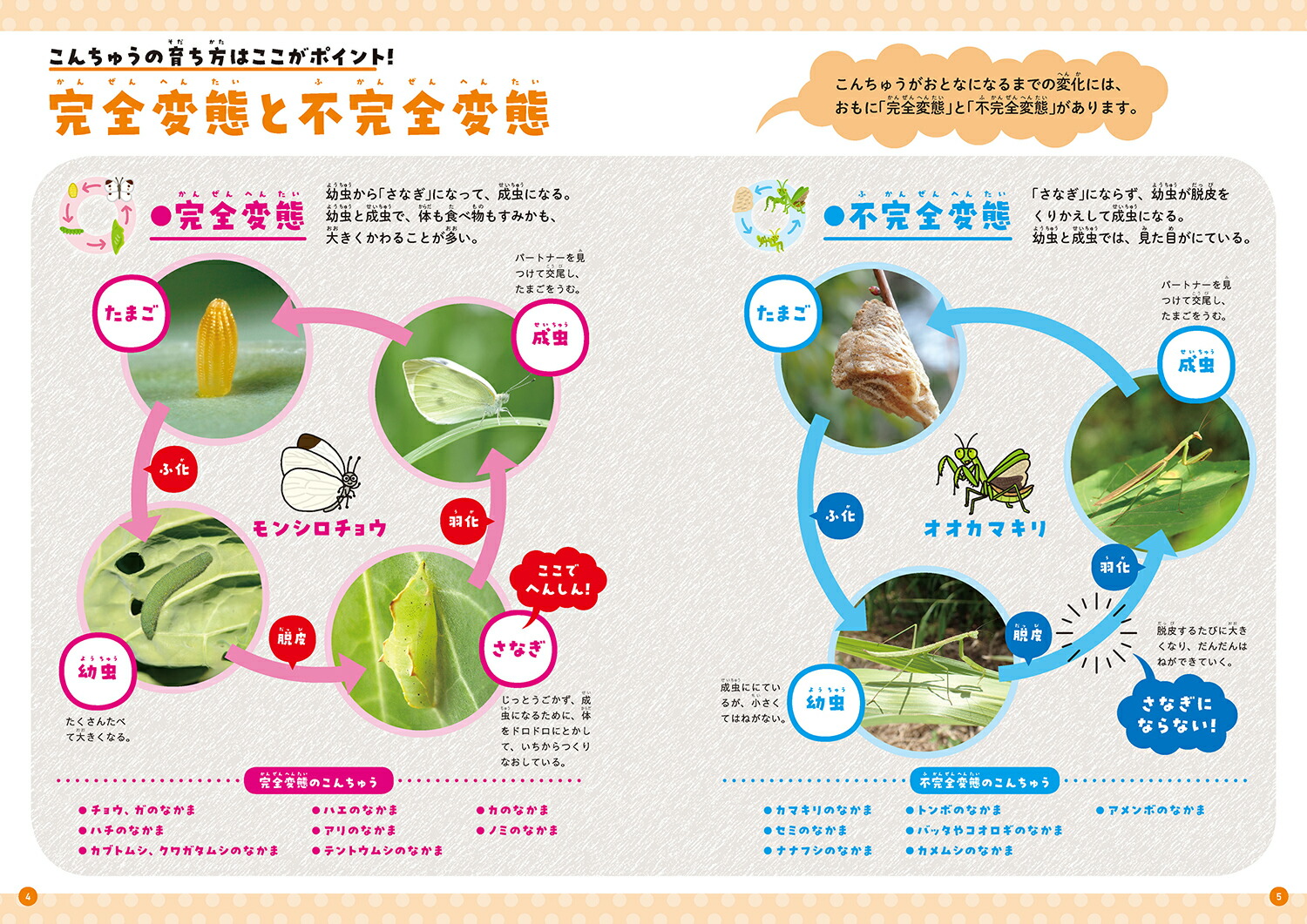 ����٤Ƥ狼�롪������夦�޴դ��Ȥʤˤʤ�ޤǡ���3����[���ĸ���]