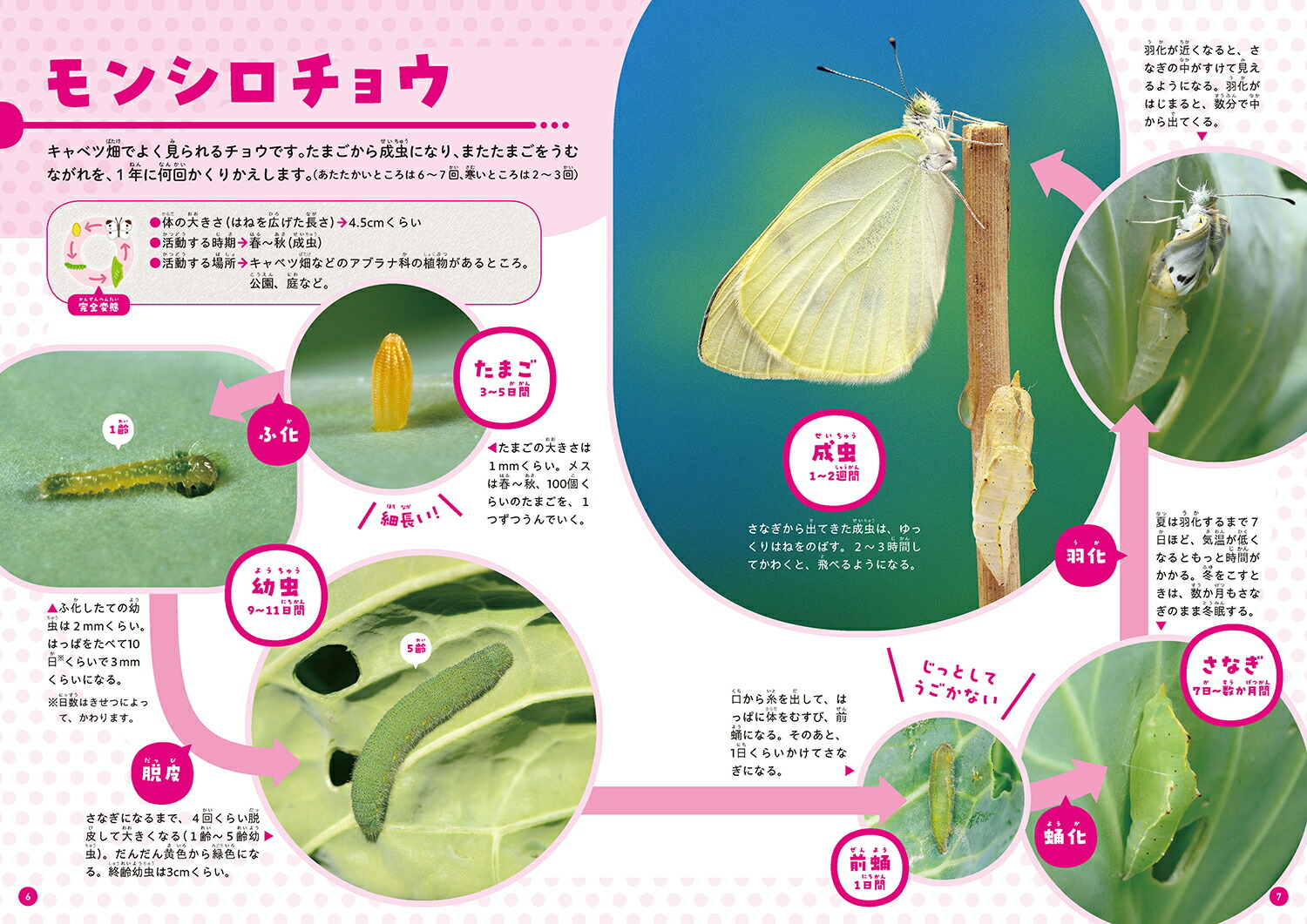 ����٤Ƥ狼�롪������夦�޴դ��Ȥʤˤʤ�ޤǡ���3����[���ĸ���]