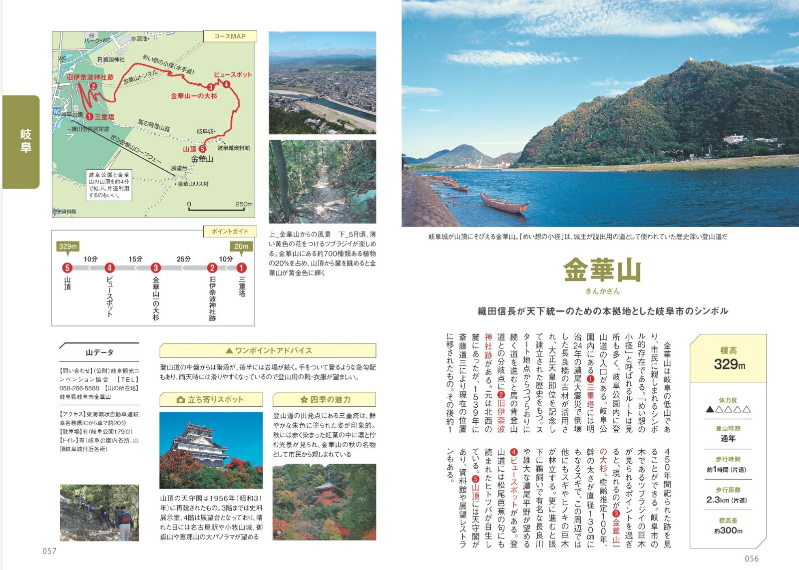 쳤ä껳⤭ʤǤ븷[쳤⤭]