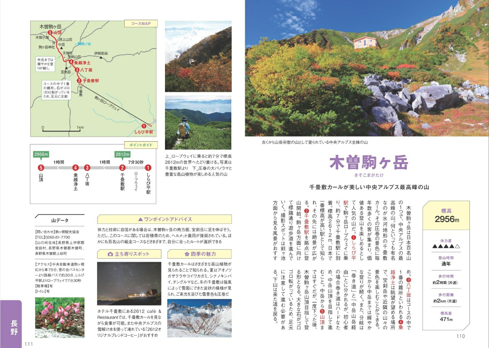 쳤ä껳⤭ʤǤ븷[쳤⤭]